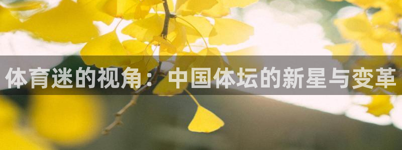 球深体育比分：体育迷的视角：中国体坛的新星与变革