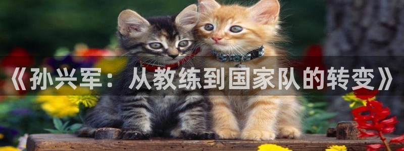 球深体育比分：《孙兴军：从教练到国家队的转变》
