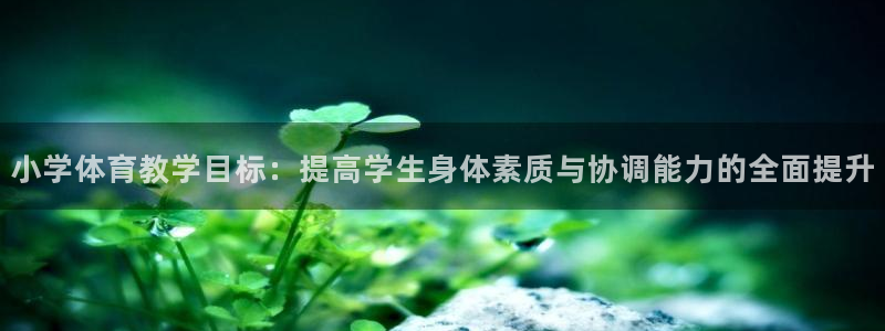 球深体育比分：小学体育教学目标：提高学生身体素质与协调能力的全面提升