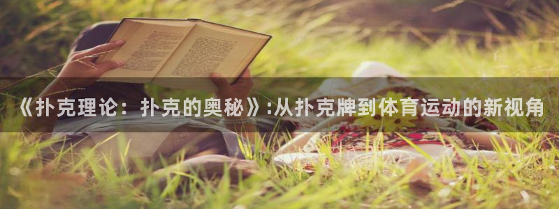 球深体育比分：《扑克理论：扑克的奥秘》:从扑克牌到体育运动的新视角