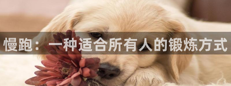 球深体育比分：慢跑：一种适合所有人的锻炼方式